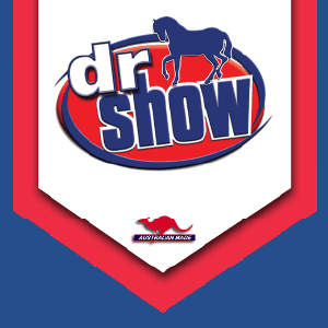 ドクターショウ